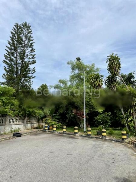 5 Bed Semi-Detached House (Landed) for Sale in  Fernvale Lodge - Image 3